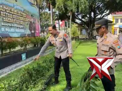 Kurve asri - PoliceTube