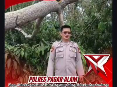 Personil Polsek Pas evakuasi pohon tumbang - PoliceTube