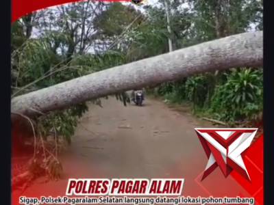 Polsek Pagaralam Selatan