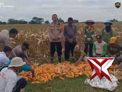 Panen Jagung Polsek Pagaden - PoliceTube