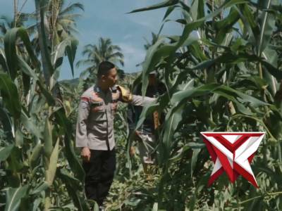 Menjaga Pangan Menjaga Negri