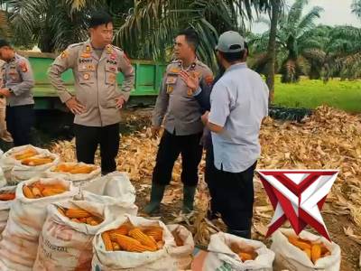 Polsek pangkalan balai - PoliceTube