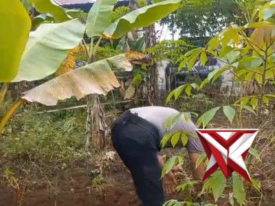 Kegiatan ketahanan pangan nasional