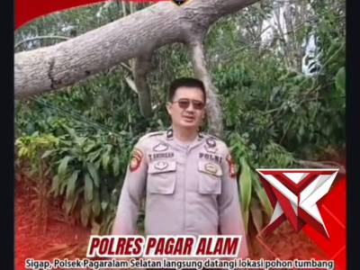 Personil Piket Patroli Polsek Pagaralam Selatan Sigap mengevakuasi pohon tumbang yang mengganggu kel - PoliceTube