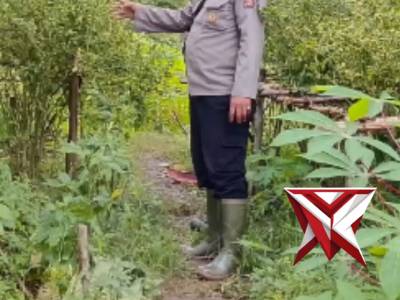 Ketahanan pangan polsek Pampangan Oki - PoliceTube