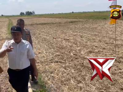 Polsek Pemulutan melaksanakan penanaman jagung dalam mendukung program pemerintah
