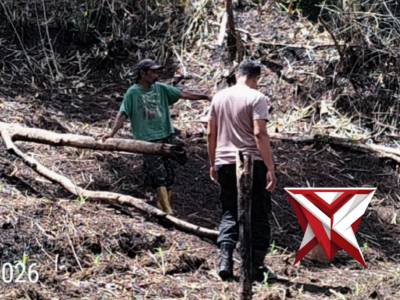 Peninjauan pertumbuhan jagung pupil Kanit Binmas Polsek Sirimau bersama Dinas Pertanian - PoliceTube