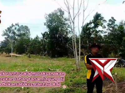 Cek lahan tanam - PoliceTube