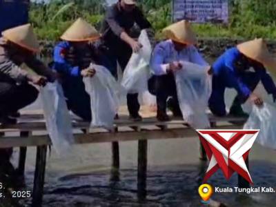 Tebar Bibit Ikan Nila Dan Tanam Jagung