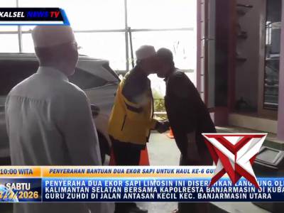 Polda Kalsel dan Polresta Banjarmasin Sumbang Dua Sapi Jenis Limosin untuk haul guru Zuhdi. - PoliceTube