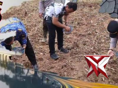 Penanaman Jagung Di Tanjung enim - PoliceTube