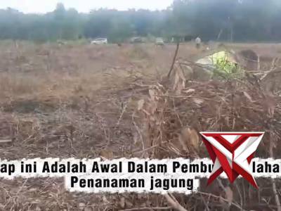 PEMBUKAAN KEMBALI LAHAN JAGUNG MILIK POLSEK BUAY PEMUKA PELIUNG