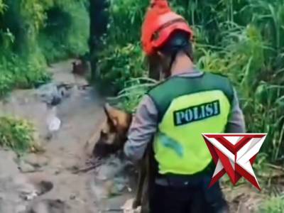 K9 Polres Wonogiri - PoliceTube