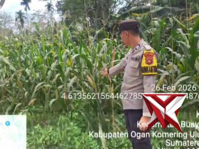 Ketahanan pangan - PoliceTube