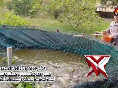 Ikan patin - PoliceTube