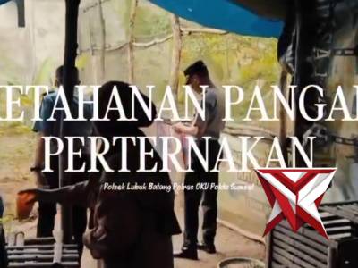 BHABINKAMTIBMAS POLSEK LUBUK BATANG MEMANTAU BINAAN MASYARAKAT LUBUK BATANGUTK KETAHANAN PANGAN TERN - PoliceTube