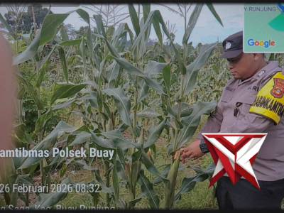 Anggota bhabhikamtibmas melaksanakan giat cek ketahanan pangan