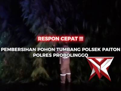Polsek Paiton Polres Probolinggo melaksanakan evakuasi pohon tumbang di Jalan Raya Pakuniran - PoliceTube