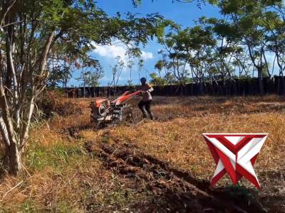 Personil Polsek Namlea bersama Petani melaksanakan Pembersihan Lahan untuk Penanaman Jagung Pipil - PoliceTube