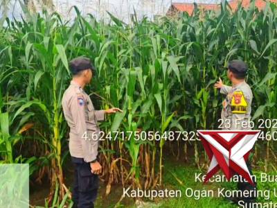 Lahan ketahan pangan - PoliceTube