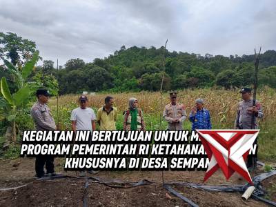 Penanaman jagung pipil polsek pemali - PoliceTube