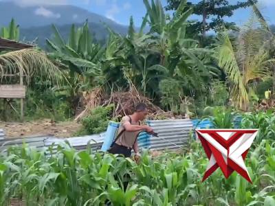 Dukung asta cita presiden 
Polda papua Barat 1 juta hektar jagung serentak seindonesia