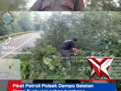 Personil Piket Patroli Polsek Dempo Selatan Sigap mengevakuasi pohon tumbang yang mengganggu kelanca - PoliceTube