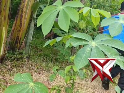 Dalam rangka menjaga kebersihan dan kenyamanan, anggota Polres Pacitan melaksanakan kegiatan korve - PoliceTube