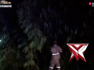 Respon cepat anggota polri, Evakuasi & pembersihan pohon tumbang oleh Polsek Paiton Polres Proboling