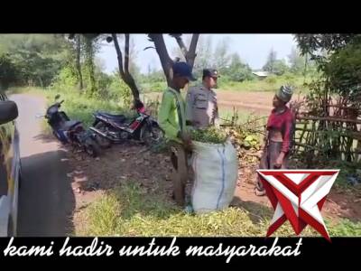 Bhabinkamtibmas Sambang Warga yang Sedang Mencari Rumput