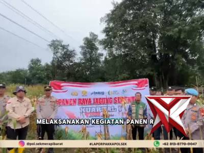 PANEN JAGUNG BERSAMA POLSEK MERAPI DAN PEMDES MENDUKUNG PROGRAM PRESIDEN INDONESIA - PoliceTube