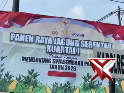 Panen Raya Jagung Serentak kuartal 1 di Kec. Ganding Kab. Sumenep