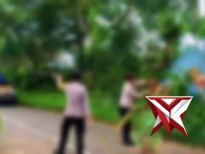 EVAKUASI POHON TUMBANG - PoliceTube