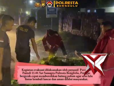 SAT SAMAPTA POLRESTA BENGKULU EVAKUASI POHON TUMBANG - PoliceTube