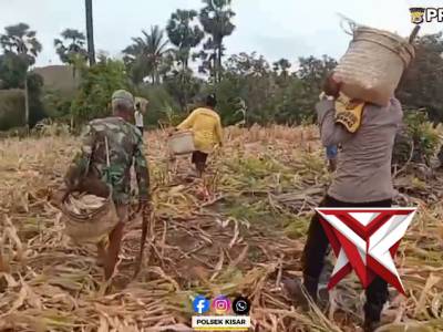 POLSEK KISAR - PoliceTube