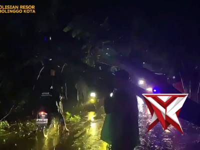 Penanganan Pohon Tumbang - PoliceTube