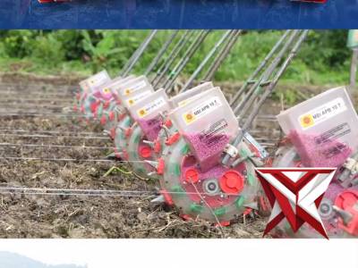 PENANAMAN JAGUNG SERENTAK KUARTAL III POLDA PAPUA KABUPATEN KEEROM - PoliceTube