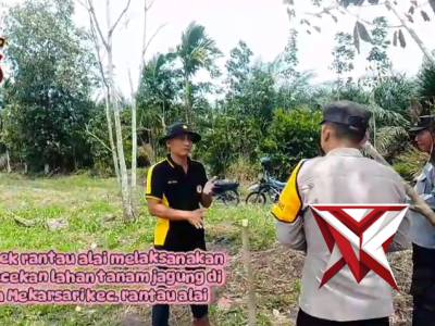 Cek Lahan Tanam Jagung Polsek Rantau Alai - PoliceTube