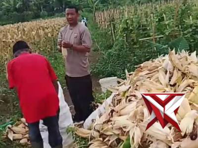 Ketahanan Pangan Nasional Polsek Baros