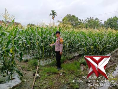 Ketahanan pangan - PoliceTube