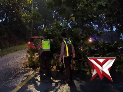 RESPON CEPAT 110 POLSEK MARGOMULYO EVAKUASI POHON TUMBANG - PoliceTube
