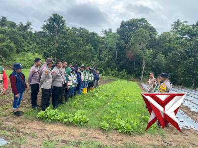Polsubsektor KPYS Dobo Laksanakan Penanaman Jagung Hibrida Bersama Petani - PoliceTube