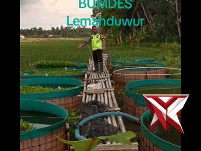 Bhabinkamtibmas monitoring Program Ketahanan Pangan - PoliceTube