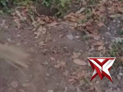 Bhankamtikmas Desa negeri lama - PoliceTube