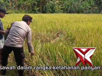 Patroli Harkamtibmas di wilayah Sumberbaru - PoliceTube