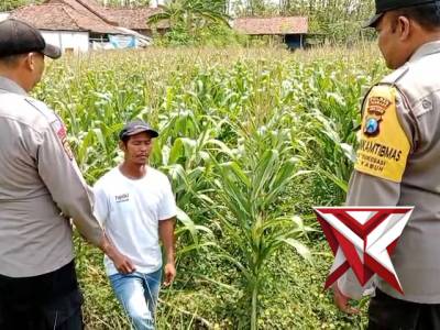 Patroli Dialogis Polsek Kabuh - PoliceTube