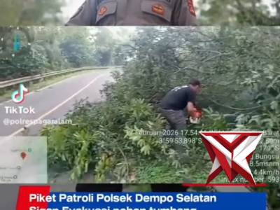 Personil Piket Patroli Polsek Dempo Selatan Sigap mengevakuasi pohon tumbang yang mengganggu kelanca - PoliceTube