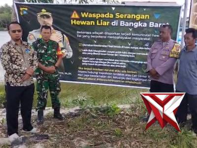 Himbanuan Waspada Serangan Hewan Liar di Bangka Barat - PoliceTube