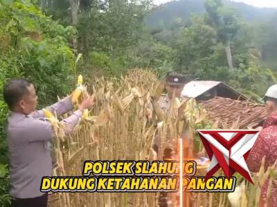 Polsek Slahung Dukung Ketahanan Pangan - PoliceTube