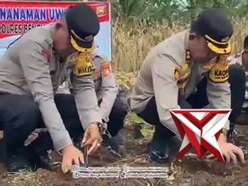 Ketahanan Pangan Polres Bengkulu Selatan, Penanaman Uwi Unggu - PoliceTube